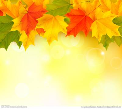 Autumn leaves frame ppt background