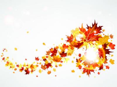 Autumn ppt leaf ppt background