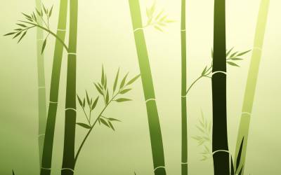 Great Bamboo powertpoint ppt background