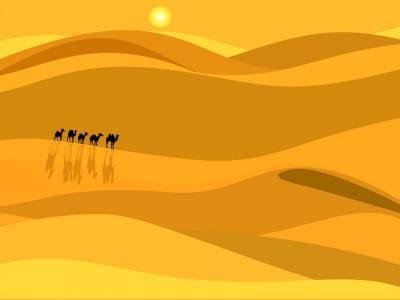 Camel, Desert, Sun, ppt background