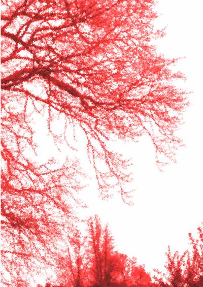 Red trees, garden, ppt background
