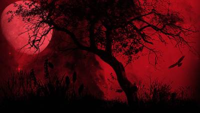 Scary red forest ppt background