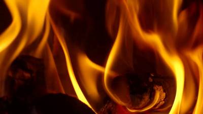 Fire, burning wood, ppt background