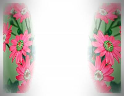 Red daisy flower ppt background