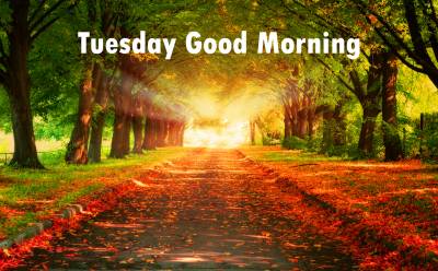Good morning tuesday ppt background