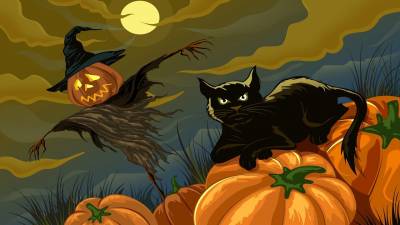 Halloween black cat ppt background