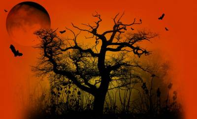 Scary forest halloween ppt background