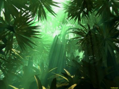 Jungle green bright ppt background
