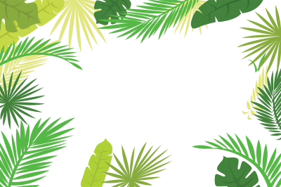 Illustration palm leaf ppt background