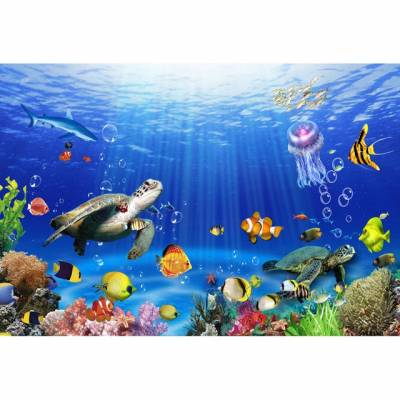 Marine animals, sea ppt background