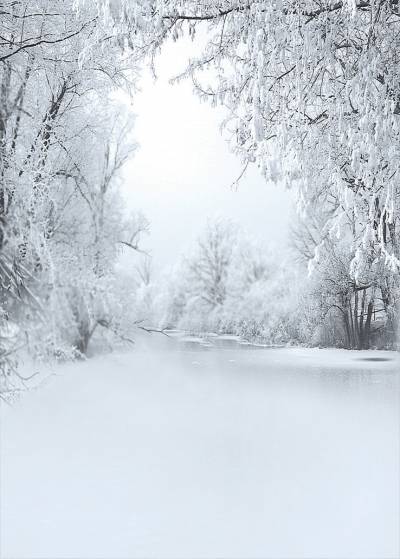 Way, tree, winter, ppt background