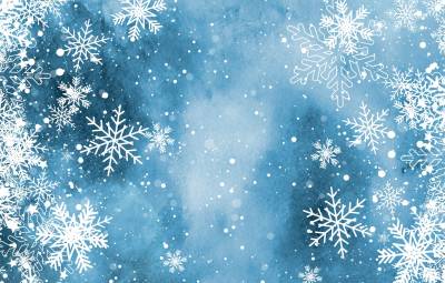 Quality blue snowflake ppt background