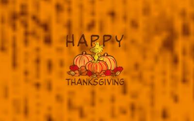 Orange happy thanksgiving ppt background