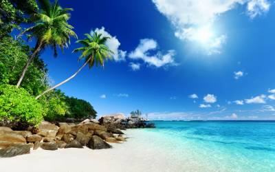 Nature tropical island ppt background