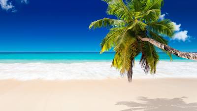 Tropical beach background ppt background