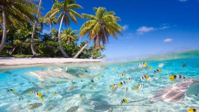 Tropical paradise planet ppt background