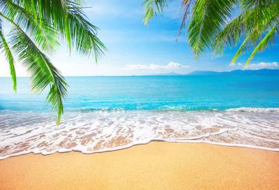 Tropical seascape photography ppt background