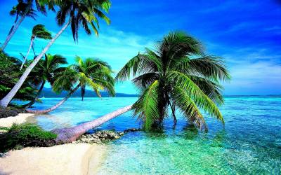 Tropical studio backgrounds ppt background