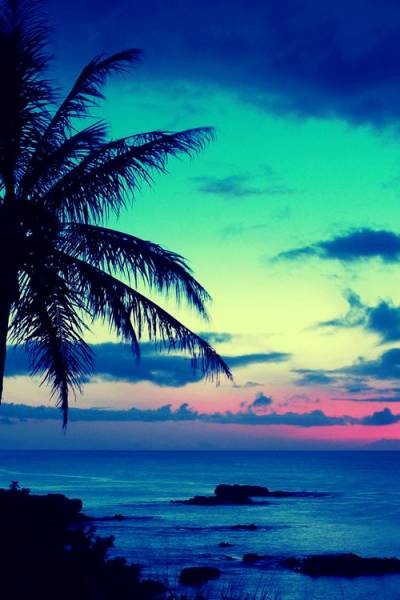 Tropical sunset background ppt background