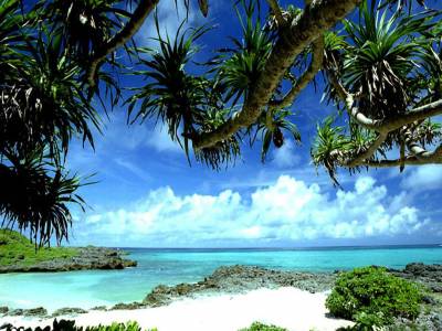 Tropical wallpapers fair ppt background
