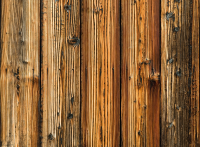 Old tree wood ppt background