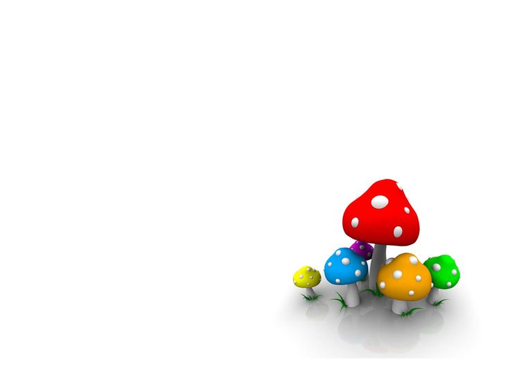 colorful mushroom presentation