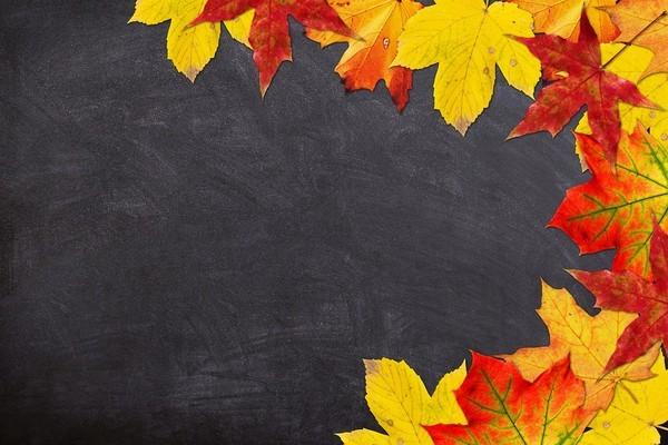 autumn chalkboard powerpoint background