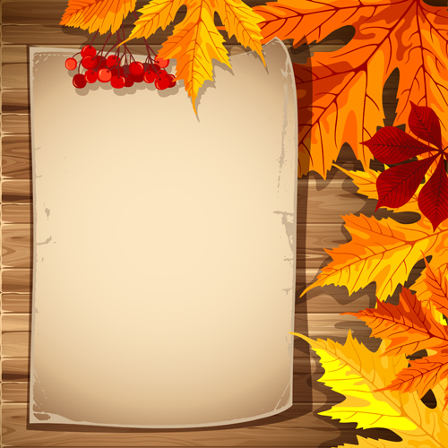 autumn elements gold leaves frame background vector