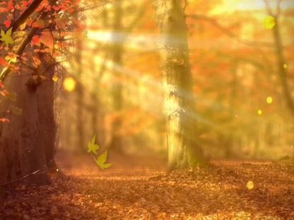 autumn ppt fall forest background life scribe media worship house