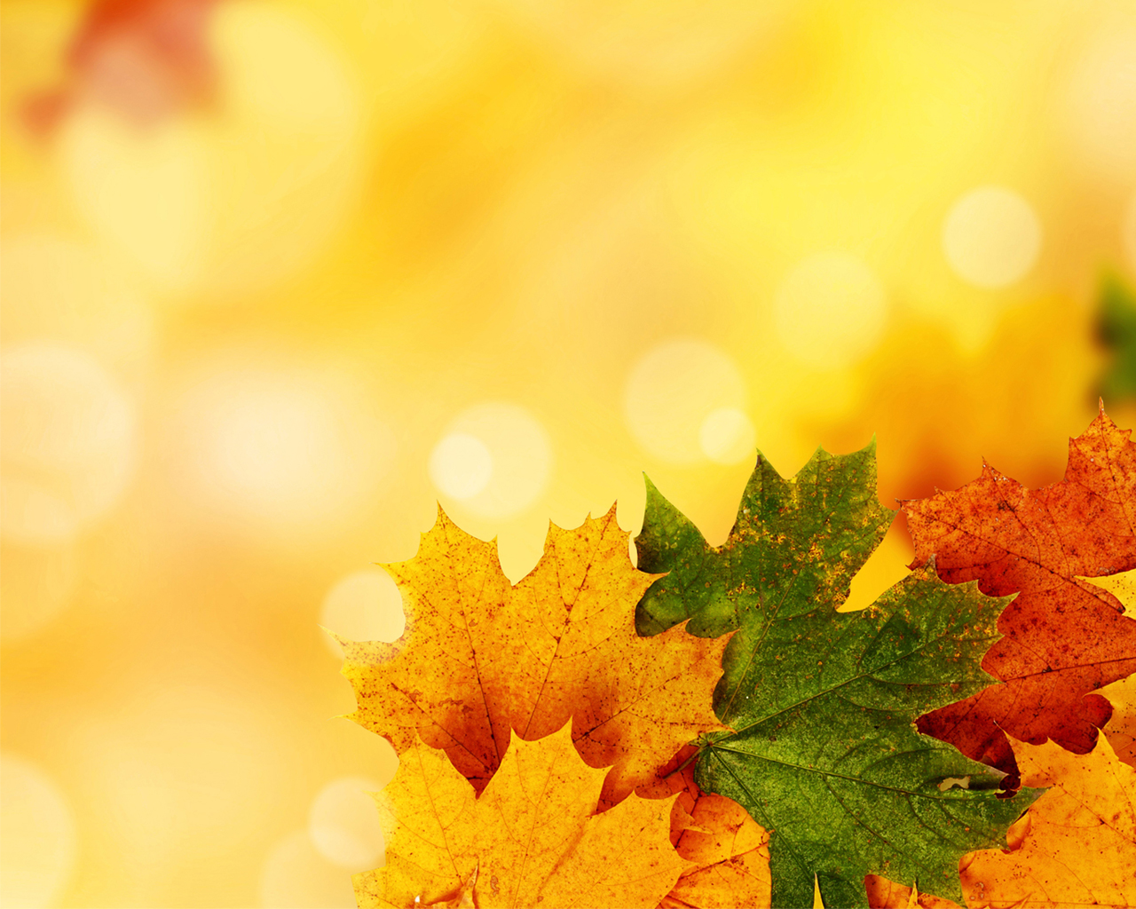 autumn yellow backgrounds powerpoint nature
