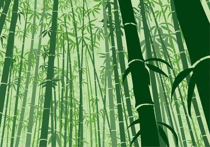 Animation design Green Bamboo free backgrounds