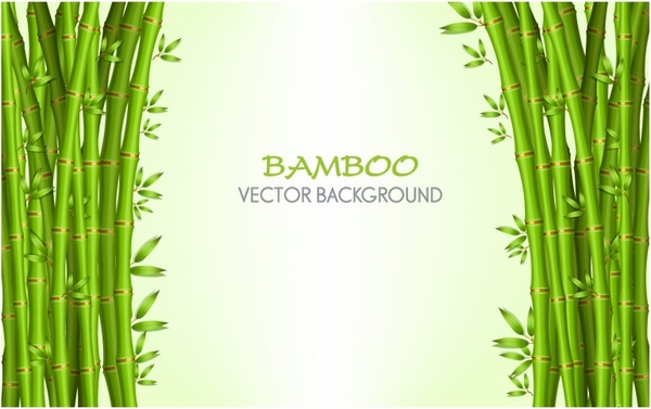 presentation on theme, Bamboo background photo download