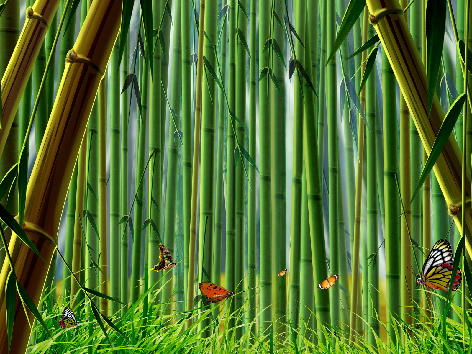 bamboo images download, forest, cartoon, animals 
