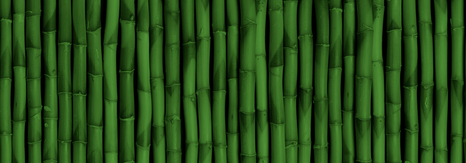 Green string bamboo wallpapers hd download
