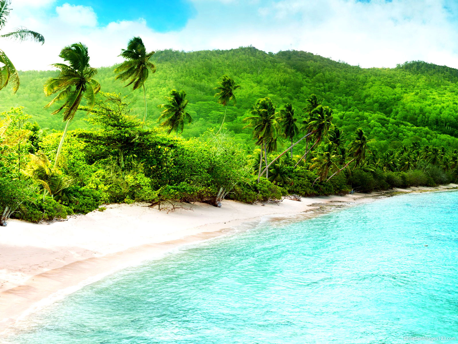 beautiful beach landscape nature tropical summer background