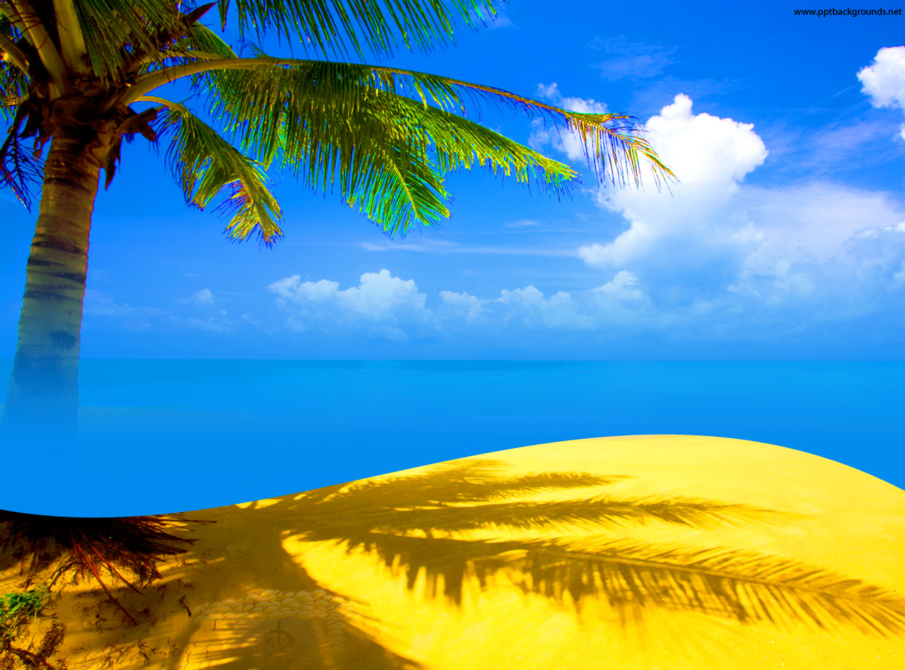 sky, clouds, palm tree beach backgrounds landscape