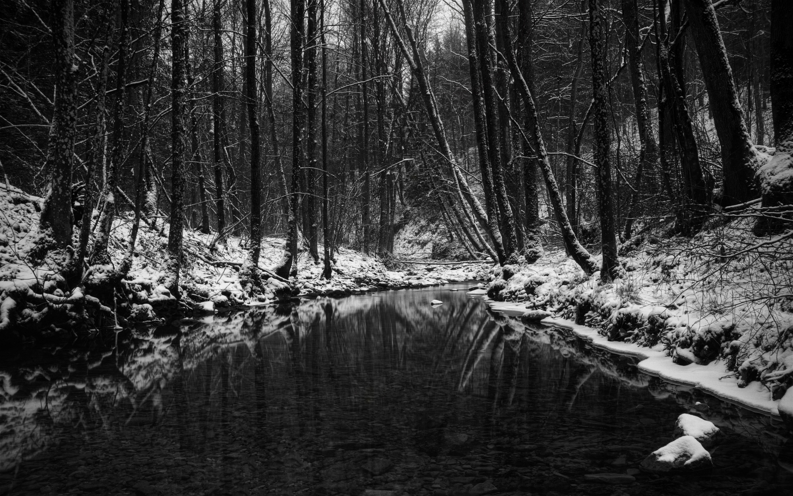 Stream and forest in black and white ppt background