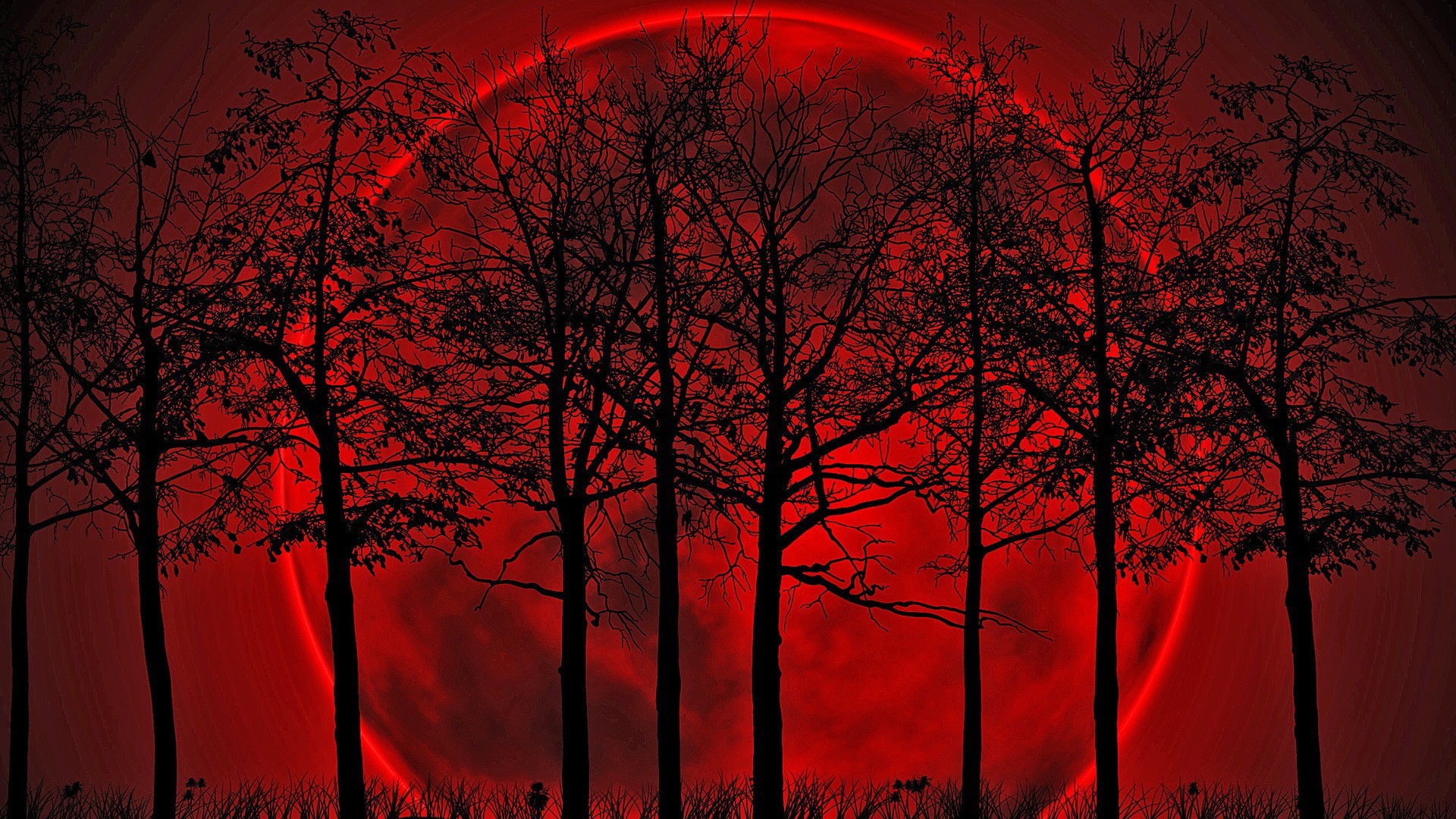 Quality red forest bloody desktop wallpapers hd background
