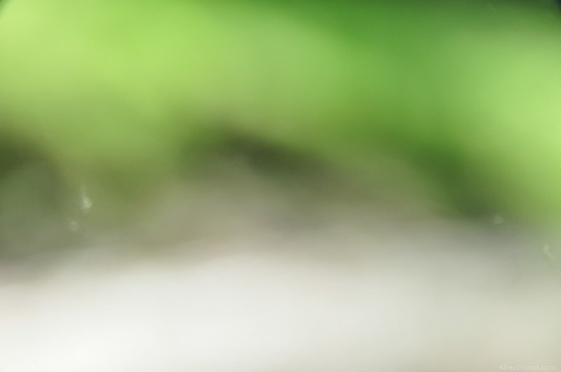 Green blurry background image photos