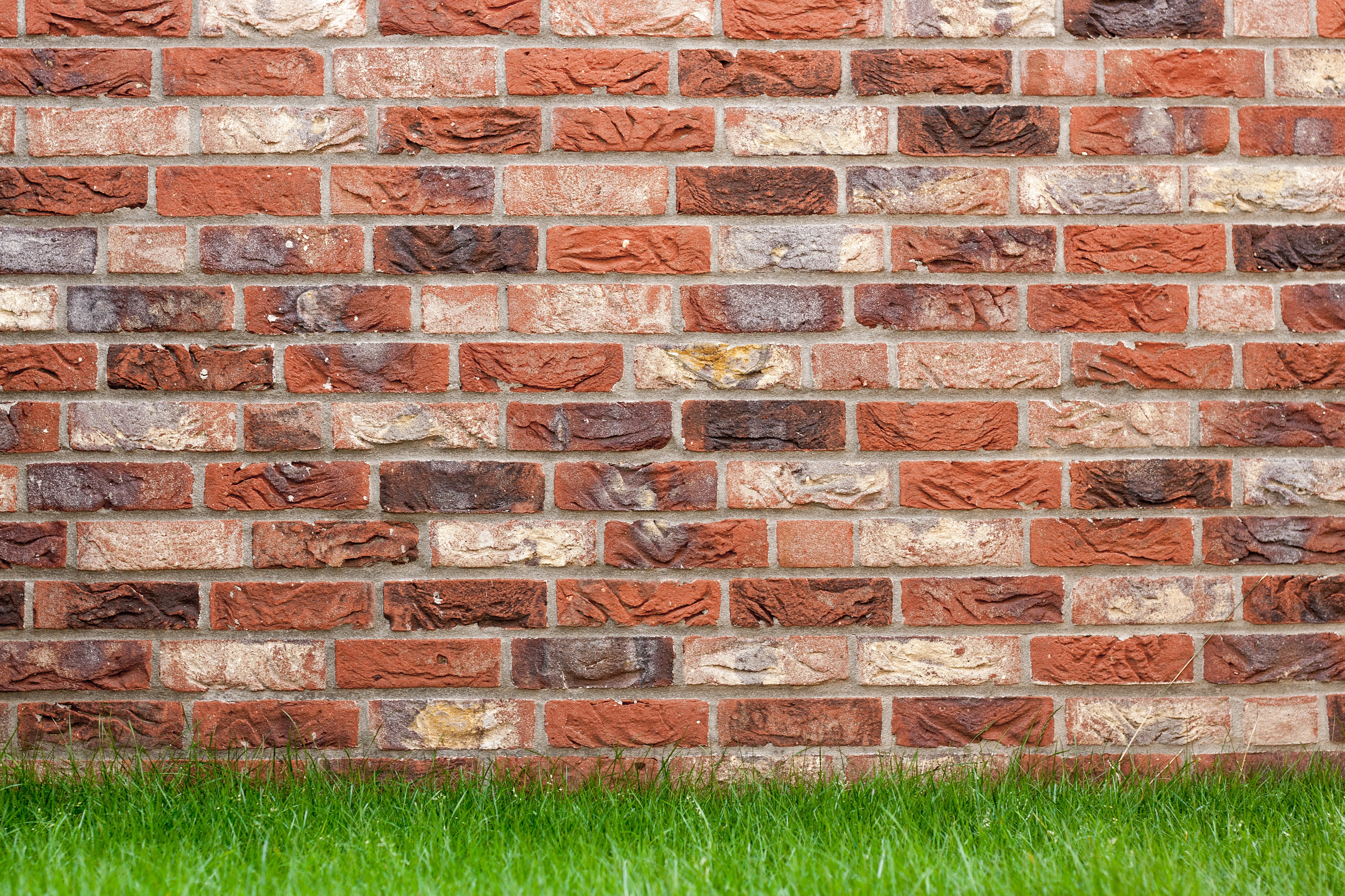 Grass and brick wall pictures hd download