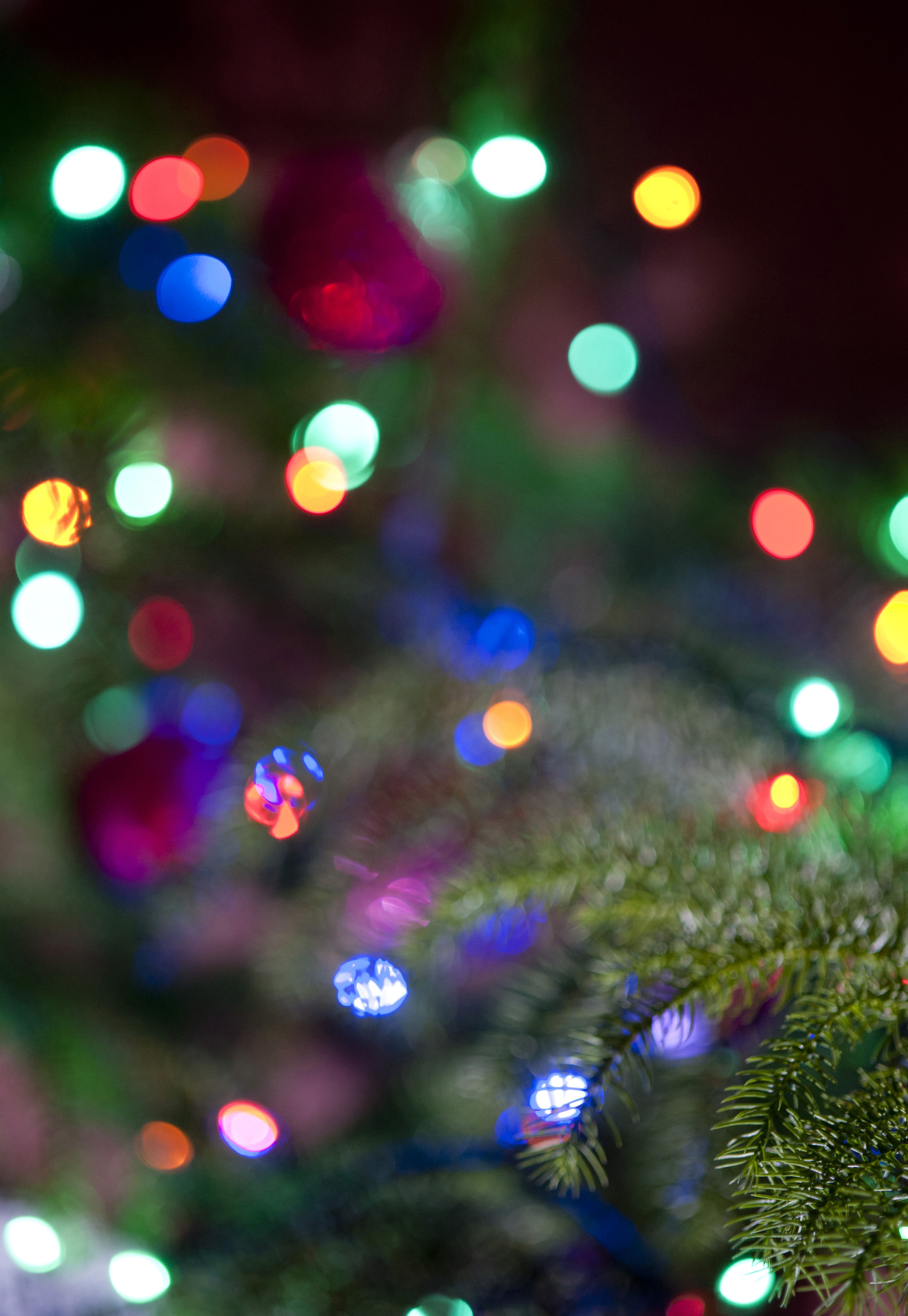 colorful blurred christmas lights background phone wallpapers download