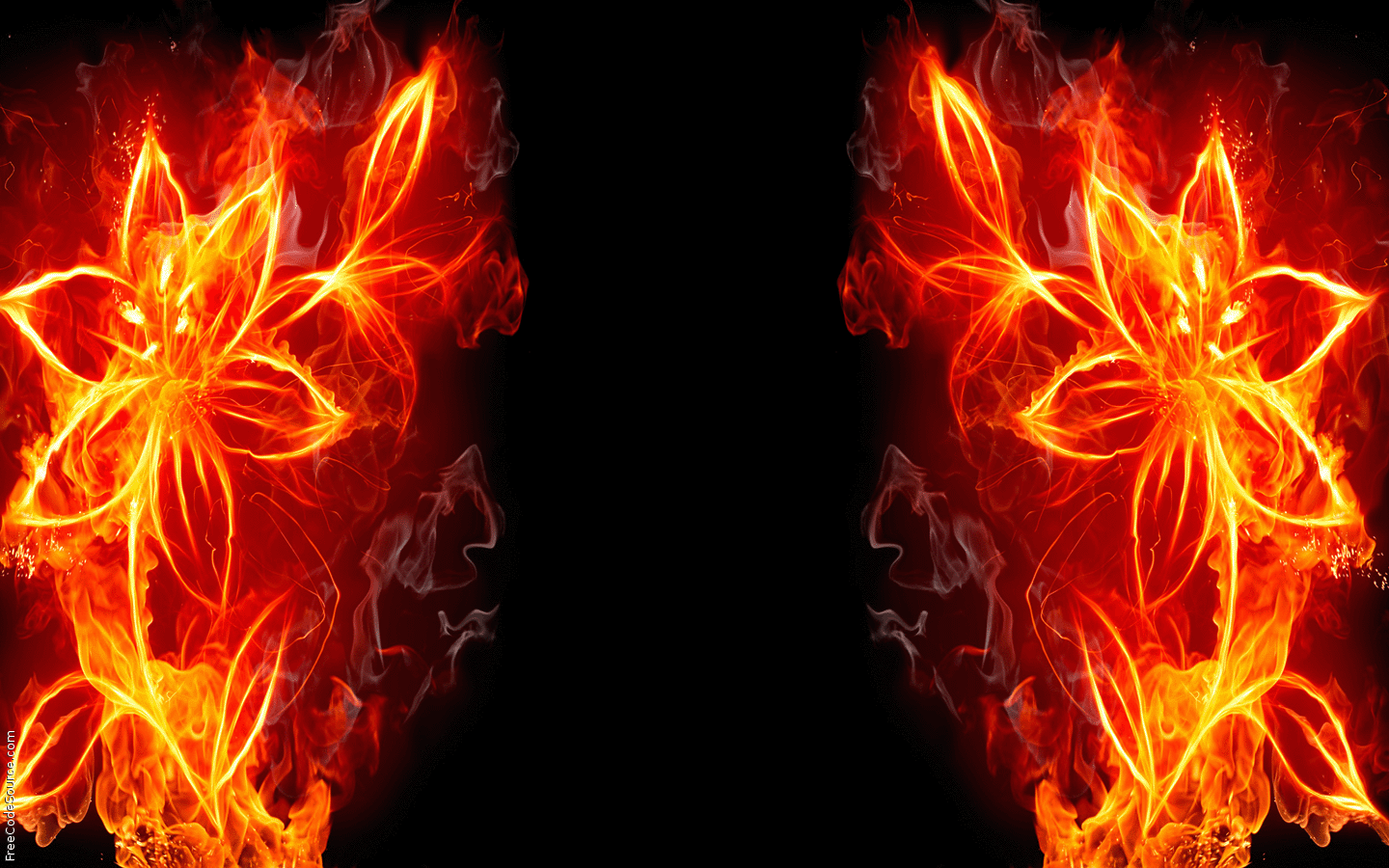 flames, Flower shaped fire ppt backgrounds 