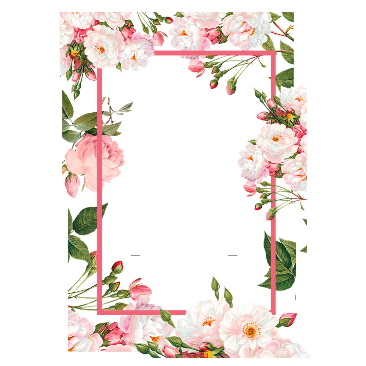 Pink Rose flower border wallpaper images hd download