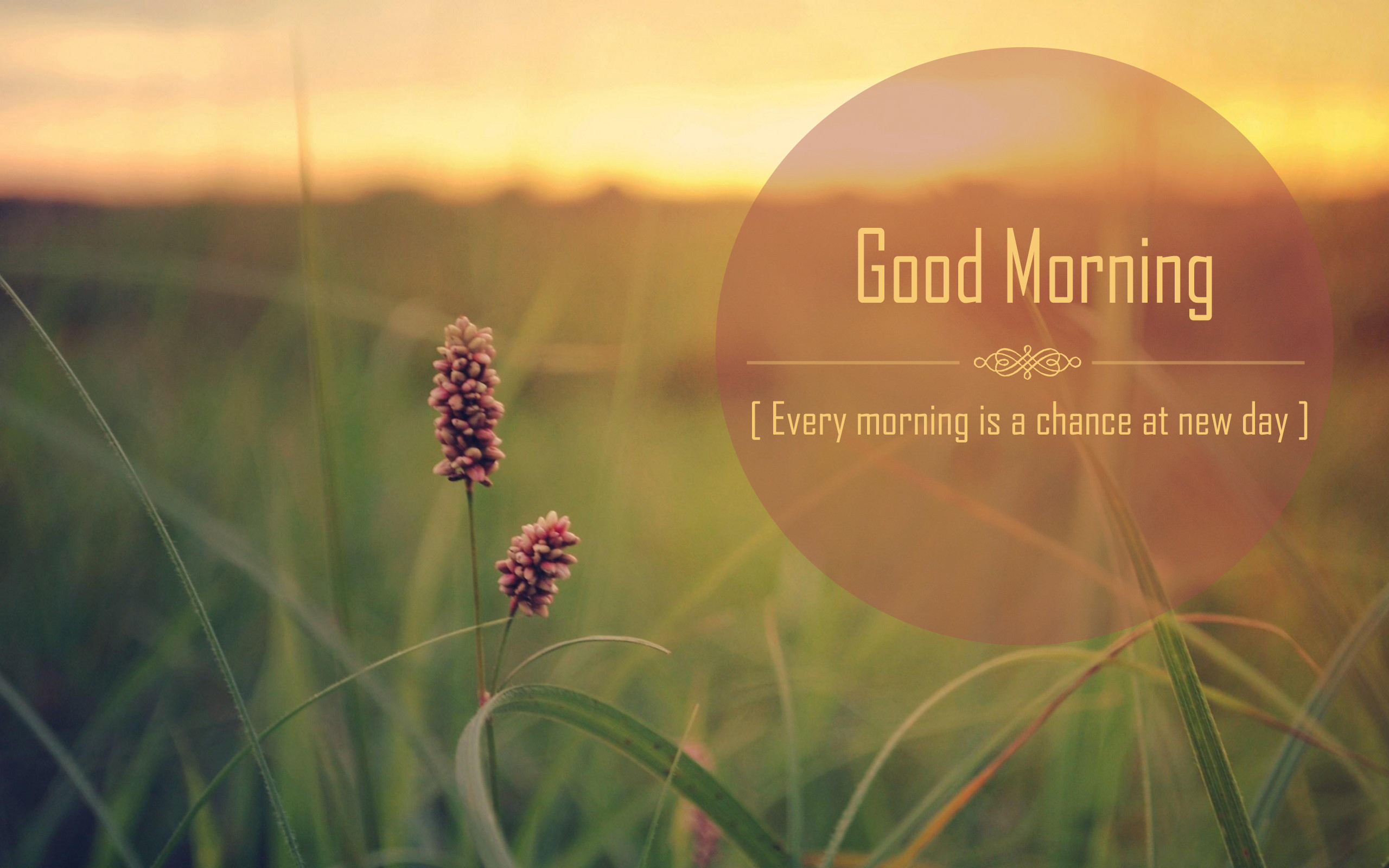 best good morning quotes style, every morning is a chance at new day