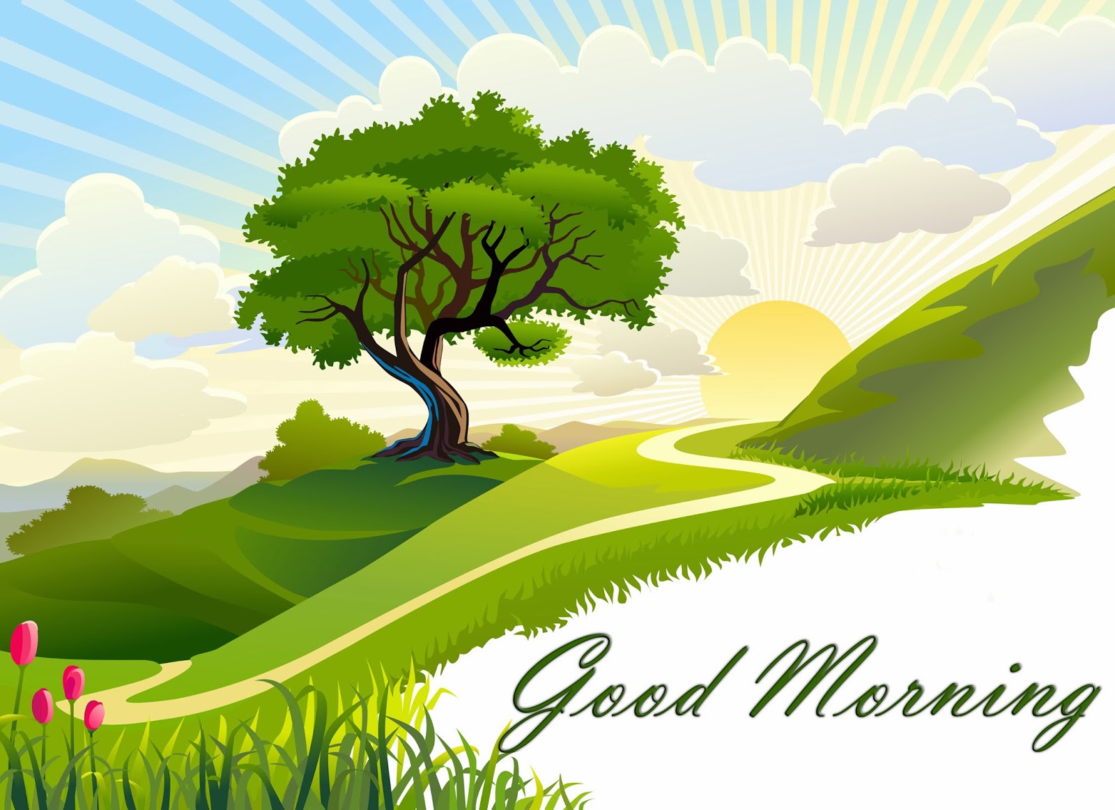 Good morning lettering with drawing background pictures hd download