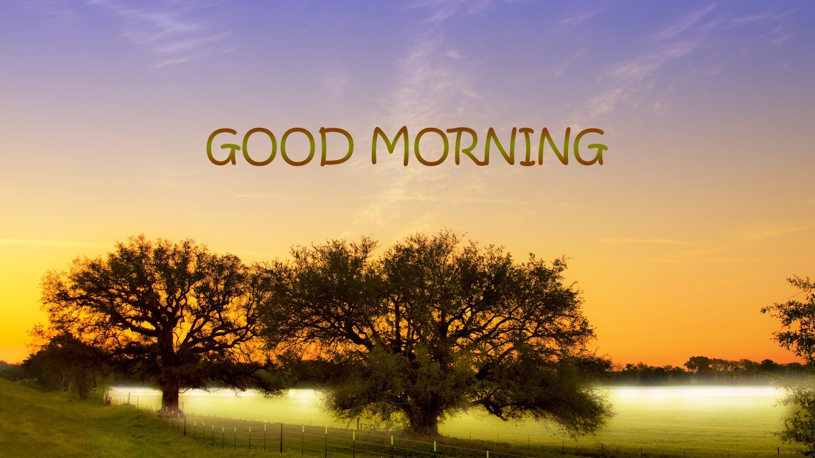 Good morning lettering with tree background
