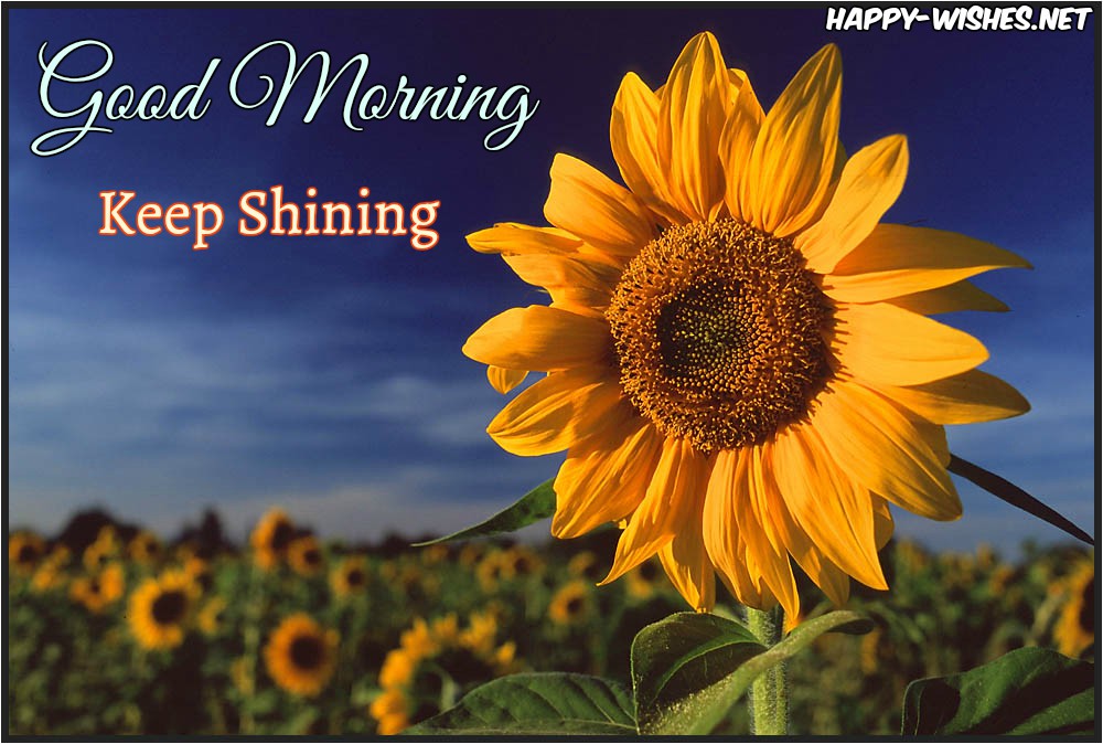 good morning wishes with sunflower ppt backgrounds