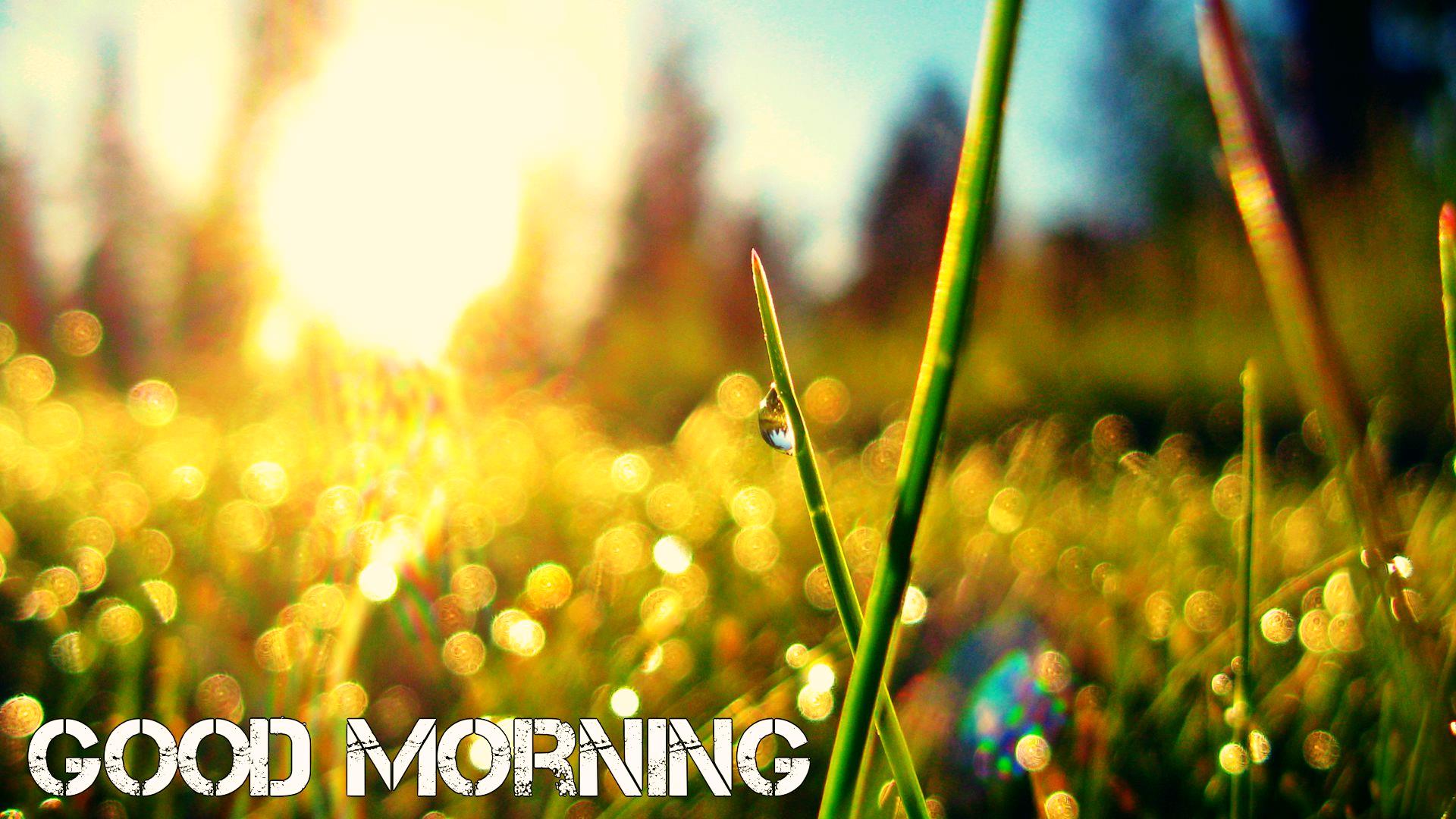 written, Good morning ppt backgrounds download