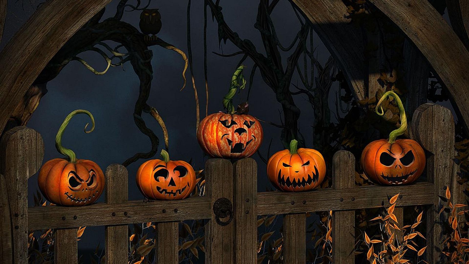 pumpkins on farm, halloween desktop backgrounds 