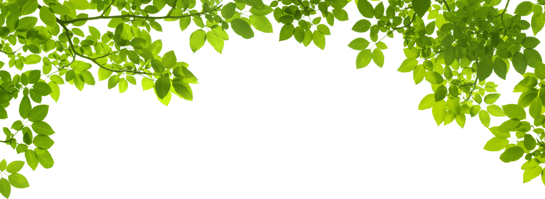 Panicle leaf border background desktop wallpaper